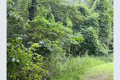 4923 Amsler Road, Ellenwood, GA 30294 - Photo 2