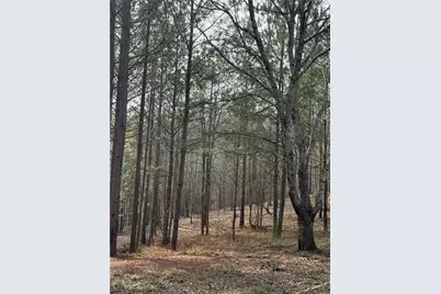 1111 Pintail Lane, Madison, GA 30650 - Photo 46