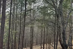 1111 Pintail Ln, Madison, GA 30650 - Photo 46