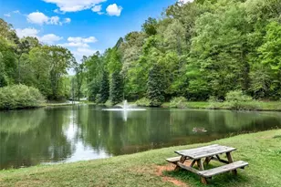 144 Monet Dr, Ellijay, GA 30540 - Photo 62