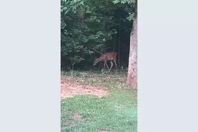 161 Meadow Lake Drive, Commerce, GA 30530 - Photo 40