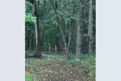 161 Meadow Lake Drive, Commerce, GA 30530 - Photo 32