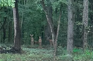 161 Meadow Lake Dr, Commerce, GA 30530 - Photo 32