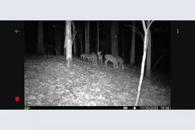 161 Meadow Lake Drive, Commerce, GA 30530 - Photo 38