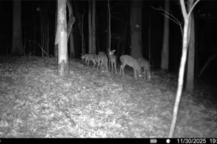 161 Meadow Lake Dr, Commerce, GA 30530 - Photo 38