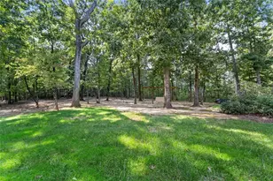 6655 Windvane Point, Clermont, GA 30527 - Photo 48