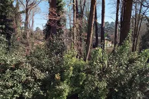 523 Spruce Dr, Pine Lake, GA 30072 - Photo 1