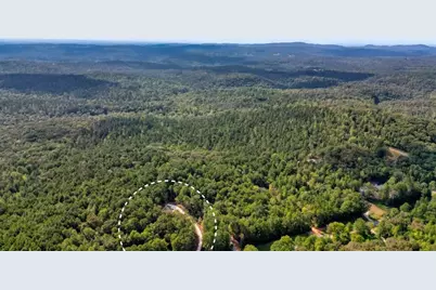 8697 W 136 Highway, Talking Rock, GA 30175 - Photo 48