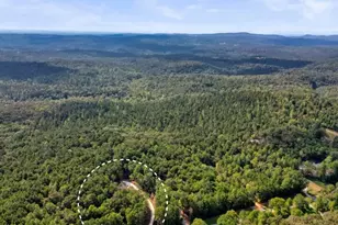 8697 W 136 Hwy, Talking Rock, GA 30175 - Photo 48