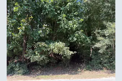 2390 Trailwood Drive NE, Conyers, GA 30012 - Photo 6