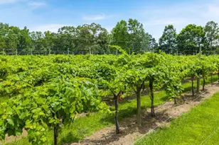 120 Crooked Lk Pk, Villa Rica, GA 30180 - Photo 68