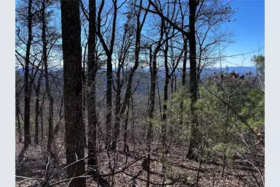 246 Andes Ridge, Ellijay, GA 30536 - Photo 2