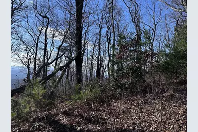 246 Andes Ridge, Ellijay, GA 30536 - Photo 28