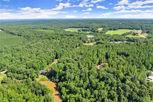 318 Jim Grizzle Rd, Royston, GA 30662 - Photo 44