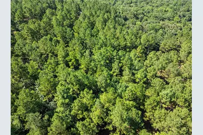 318 Jim Grizzle Road, Royston, GA 30662 - Photo 54