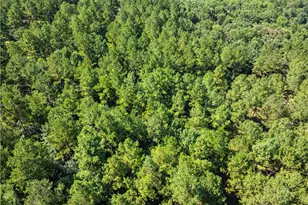 318 Jim Grizzle Rd, Royston, GA 30662 - Photo 54