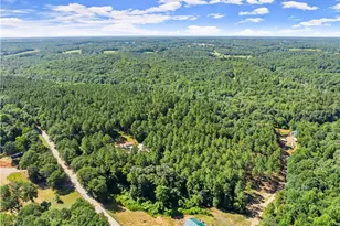 318 Jim Grizzle Rd, Royston, GA 30662 - Photo 50