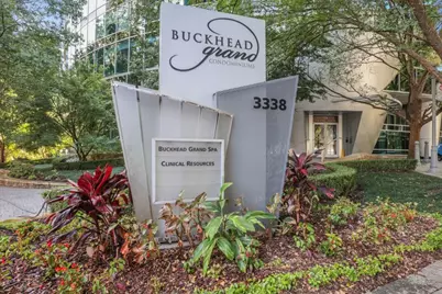 3338 Peachtree Road #1602, Atlanta, GA 30326 - Photo 48