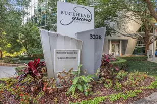 3338 Peachtree Rd, Atlanta, GA 30326 - Photo 48