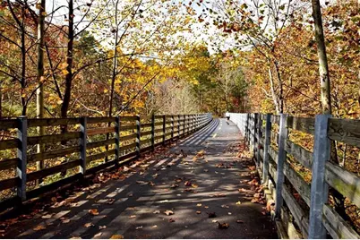 1225 Creek Forest Lane, Austell, GA 30106 - Photo 32