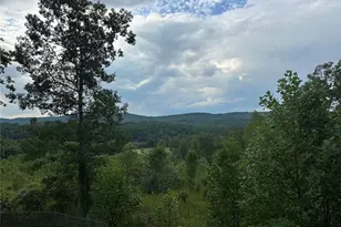 162 Beaver Ridge Rd, Blairsville, GA 30512 - Photo 34