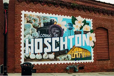 435 Winding Rose Drive, Hoschton, GA 30548 - Photo 138