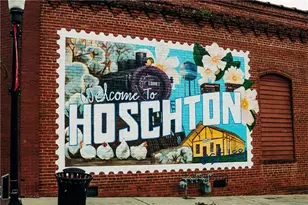 435 Winding Rose Dr, Hoschton, GA 30548 - Photo 138