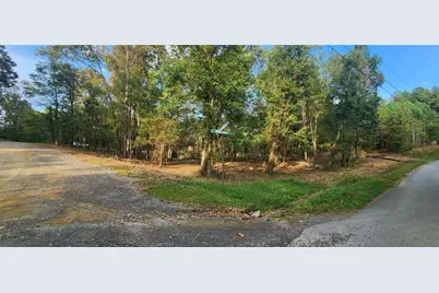 252 Beatrice Court, Ranger, GA 30734 - Photo 2