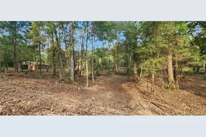 252 Beatrice Court, Ranger, GA 30734 - Photo 10