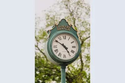 5259 Baymont Drive, Gainesville, GA 30507 - Photo 92