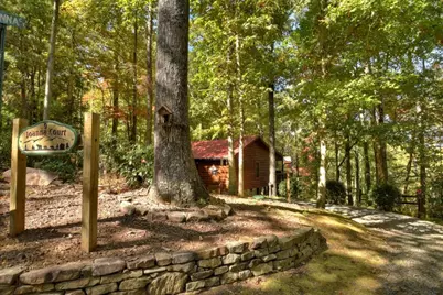 9 Joanna Court, Blue Ridge, GA 30522 - Photo 2