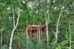 9 Joanna Court, Blue Ridge, GA 30522 - Photo 32