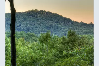 9 Joanna Court, Blue Ridge, GA 30522 - Photo 6