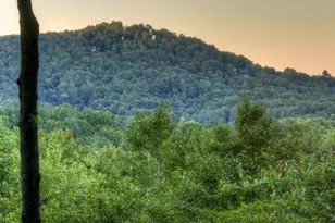 9 Joanna Court, Blue Ridge, GA 30522 - Photo 6