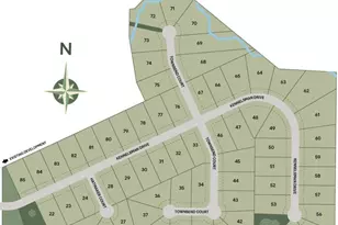 119 Townsend Ct, Griffin, GA 30224 - Photo 42