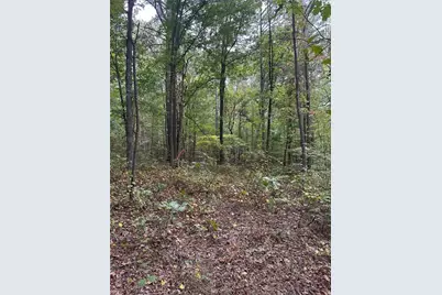 3842 Salacoa-Tract A, Waleska, GA 30183 - Photo 2