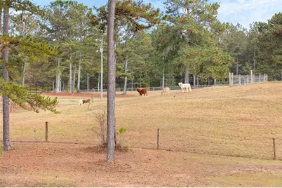 1915 Whooping Creek Church Road, Carrollton, GA 30116 - Photo 20