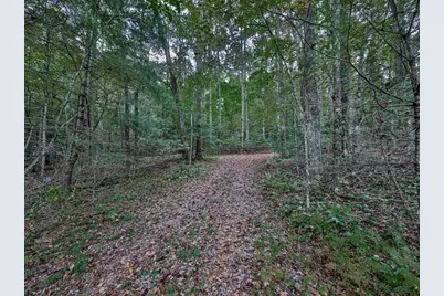 0 Big Creek Road, Ellijay, GA 30536 - Photo 6