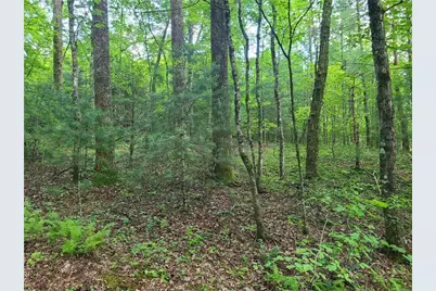 0 Big Creek Road, Ellijay, GA 30536 - Photo 16