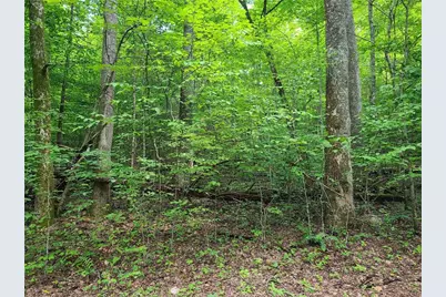 0 Big Creek Road, Ellijay, GA 30536 - Photo 10