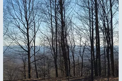 0 Big Creek Road, Ellijay, GA 30536 - Photo 26