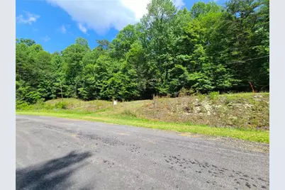 0 Big Creek Road, Ellijay, GA 30536 - Photo 6