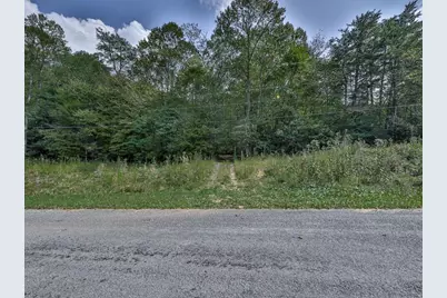 0 Big Creek Road, Ellijay, GA 30536 - Photo 4