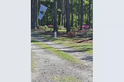 110 Bethel Village Road, Eastman, GA 31023 - Photo 18