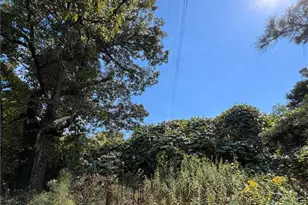 4020 Grant Rd, Ellenwood, GA 30294 - Photo 6