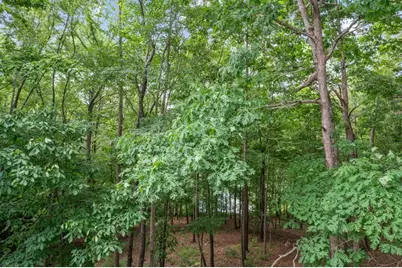 380 Fredericks Cove, Dawsonville, GA 30534 - Photo 44