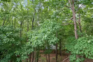 380 Fredericks Cove, Dawsonville, GA 30534 - Photo 44