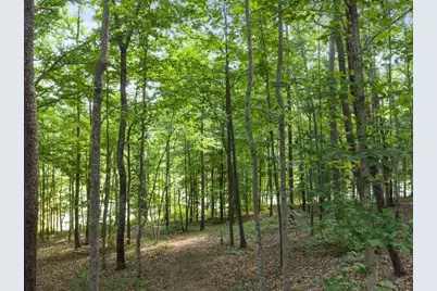 380 Fredericks Cove, Dawsonville, GA 30534 - Photo 80