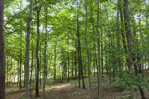 380 Fredericks Cove, Dawsonville, GA 30534 - Photo 80