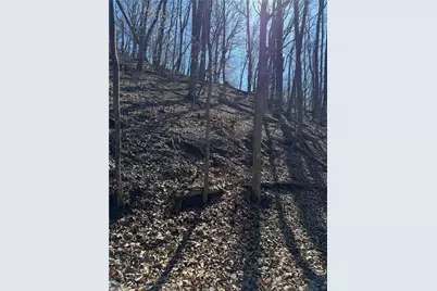 3366 Crippled Oak Trail, Jasper, GA 30143 - Photo 14